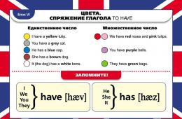 Правила употребления have has had